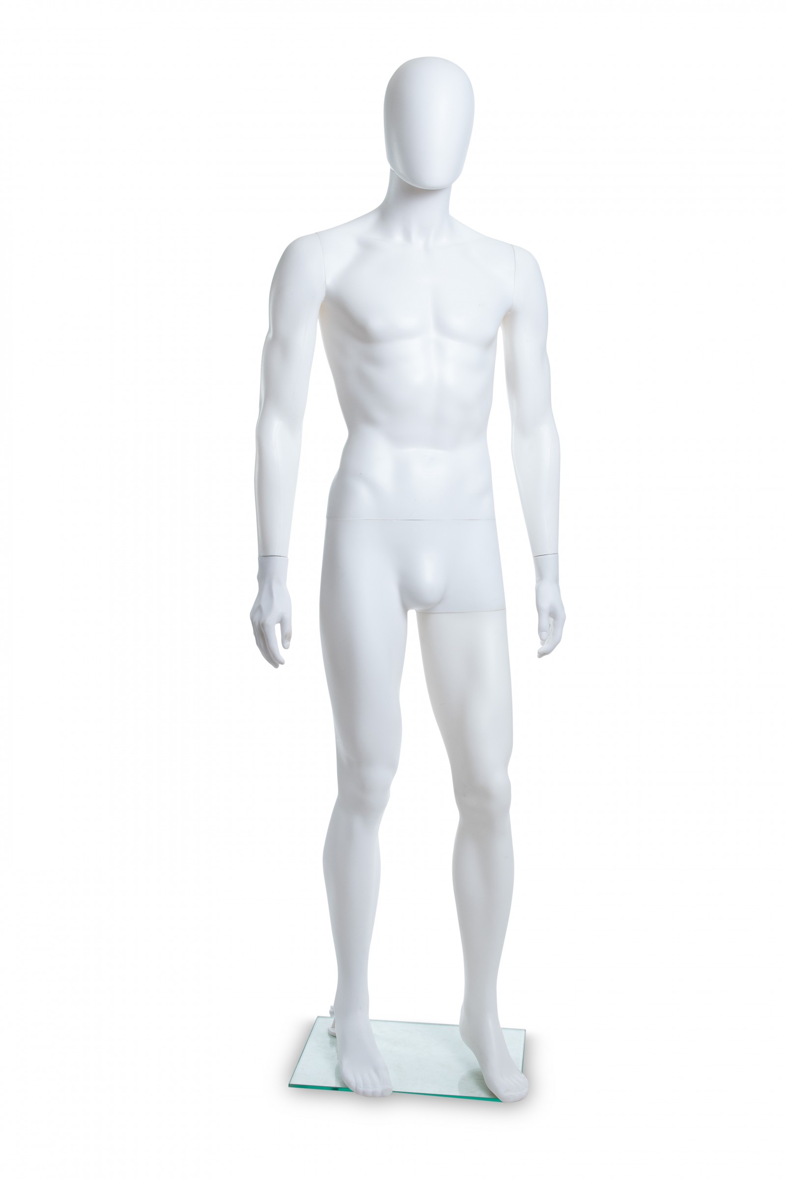 White Male Full Body Mannequin